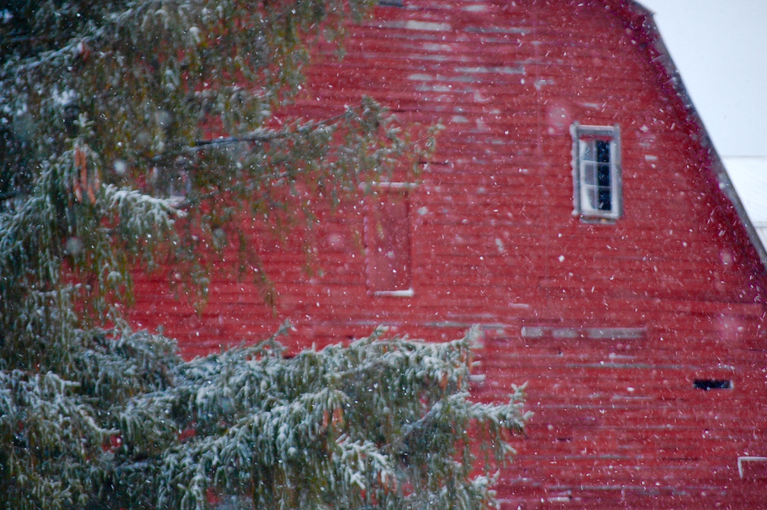 Snowflakes against red barn